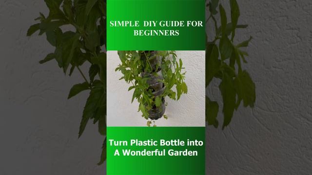 WOW, DO THIS to Turn any Plastic Bottle Into a Wonderful Garden l SIMPLE DIY GUIDE FOR BEGINNERS