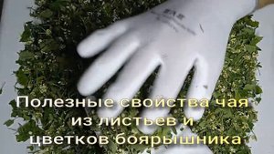 Чай из листьев и цветков боярышника. Почему важно использовать?