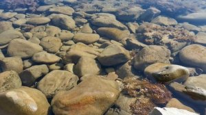 Сказочный телепорт. Приключение на Черном море. Фауна Черного моря. Познавательное видео для детей.