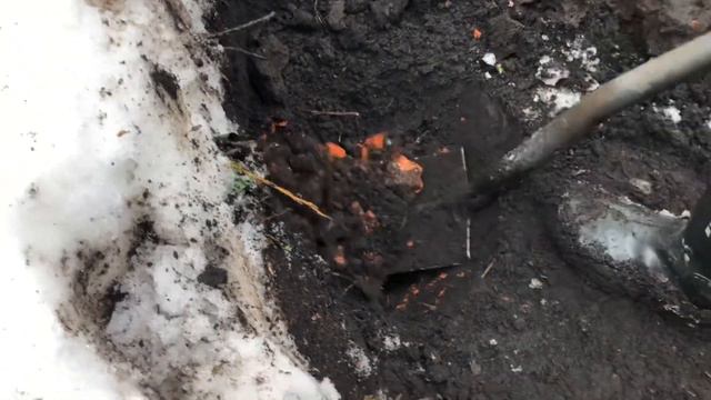 Зимний шурф,в глубоких снегах..#находки #шурф#поискмонет #коп2024 #копмонет #металлоискатель #деус