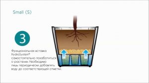 Green Sun - кашпо с автополивом, инструкция и демонстрация