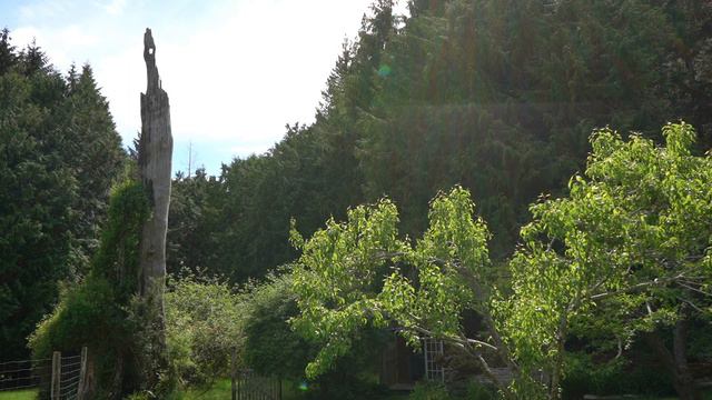 Cabin jam with the Elektron Analog Rytm MkII смотреть онлайн