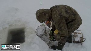 Рыбалка на МОРДУШКУ в глухозимье 2020.