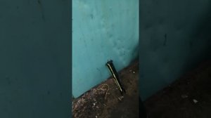 Замена задних амортизаторов SRX от Алика (CADILLAC SRX 1)