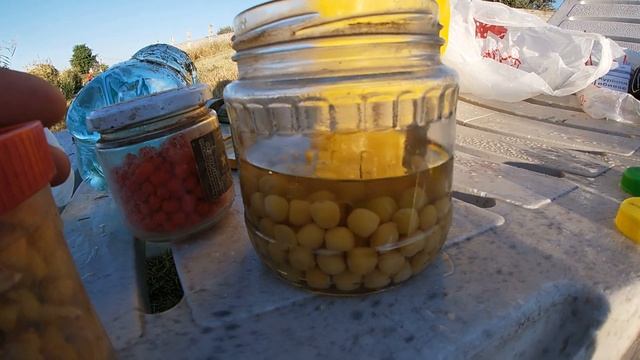 Как Поймать Карпа без Дорогих Спиннингов? Снасть за Копейки! смотреть онлайн