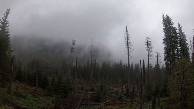 Отдых в Закопанах (Zakopane). Подъем на Каспровы верх (Kasprowy wierch) и Морскоe окo (Morskie oko)