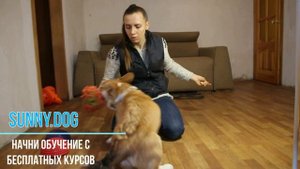 Как научить собаку отдавать игрушку ?