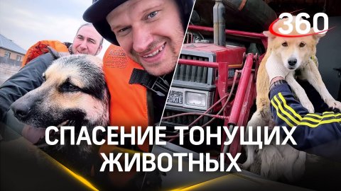 Неравнодушные жители Оренбургской области спасают тонущих животных