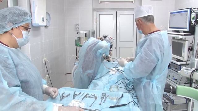 Хирургия болезней ЛОР-органов у детей смотреть онлайн