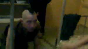 Пару дней назад я завёл себе собаку.