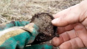 ШУРФ ФУНДАМЕНТА 19 ВЕКА. КОП МОНЕТ .