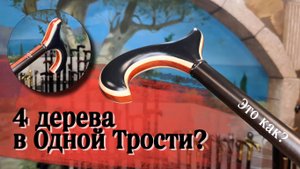 Дорогая Премиальная трость | "Фюрт" из Германии!