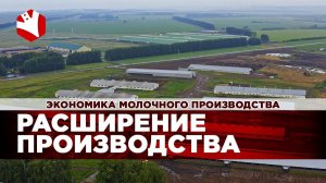 Расширение производства молочного хозяйства | Экономика молочного животноводства