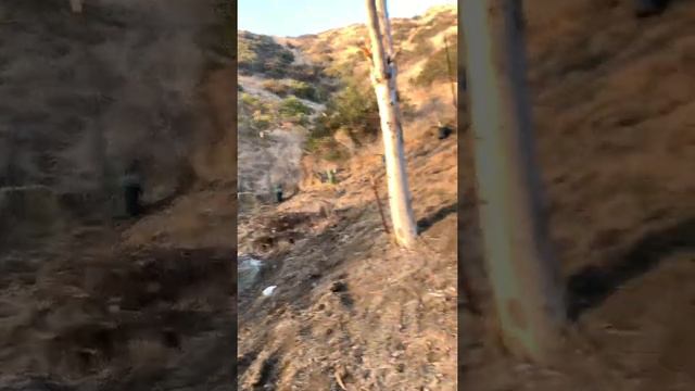 HOW TO PLANT CACTUS ON A HILLSIDE BLUE AGAVE PART 3 смотреть онлайн