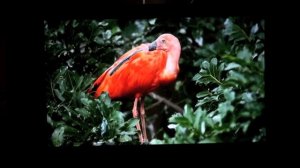 JVC-DLA-X3-Test Vergleich Heimkino Aktuell / 3D-Heimkino