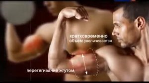 Наука 2 0 Бодибилдинг Технологии спорта