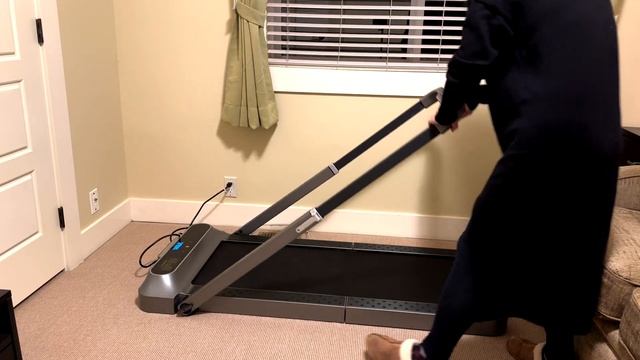 Effydesk Walkingpad one-month experiment/review смотреть онлайн