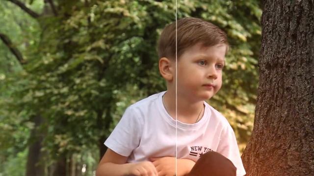 Воспоминания из детства