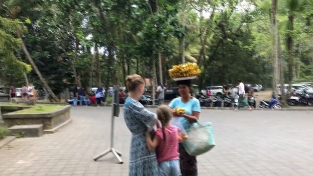 Бали, Индонезия | Pura Tirta Empul, дегустация luwak, рисовые террасы Tegallalang и кафе You & Mie