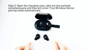 1. Spunky Beat True Wireless Earbuds: How to Pair for the First Time