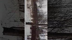 изолятор Хант нечего нету снег не даёт шансов