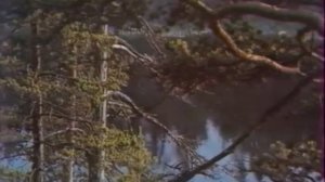 Три окна. А.Макаревич