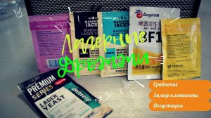 ПИВНЫЕ ДРОЖЖИ! НА ЧЕМ СБРАЖИВАТЬ ЛАГЕР? ЭКСПЕРИМЕНТ/ ЗАМЕР ПЛОТНОСТИ/ДЕГУСТАЦИЯ.