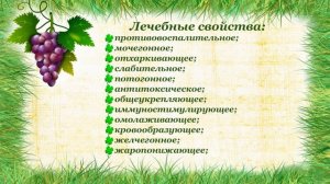 Полезные свойства Винограда