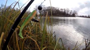 Ловим хищника в октябре. Новая приманка. Уловистый цвет.