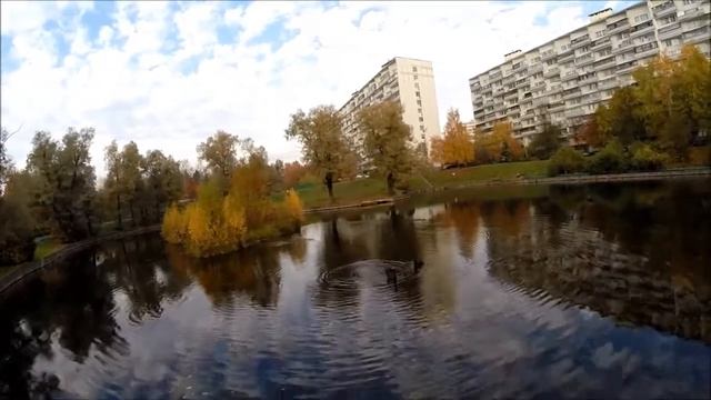 Быково болото в Зеленограде - аэровидеосъемка.