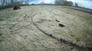 Размазываем старые муравейники на сенокосе.