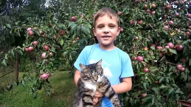 Арбуз в Беларуси / Кавун у Беларусi / Watermelon in Belarus смотреть онлайн