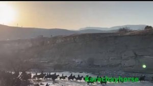 р. Кубань КЧР. Конный переход 23.03.2022г. пос. к столетию КЧР.