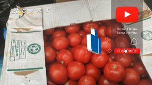 Оптовый овощной рынок на месте аэропорта. Цены 2021. Ростов на Дону.