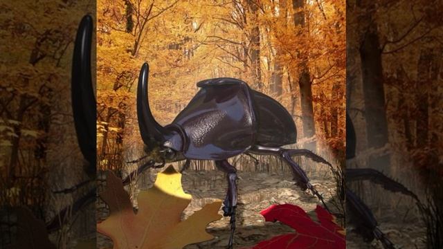 Rhinoceros Beetle RIGGED 3D model from CGTrader.com смотреть онлайн