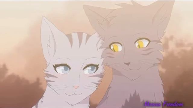 Коты воители - Крутобок и серебрянка.