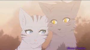 Коты воители - Крутобок и серебрянка.