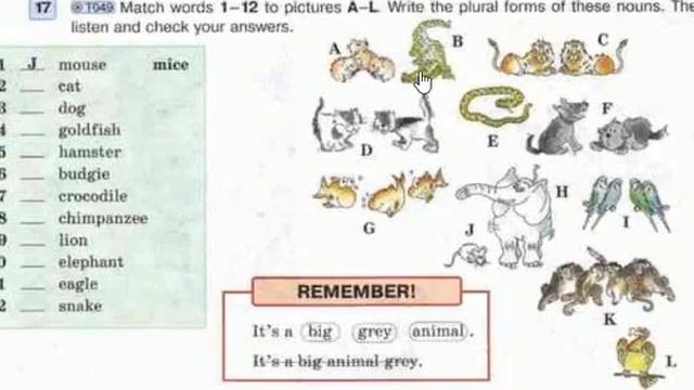 6 Класс. Урок 32. Дистанционное обучение. Описание внешности человека. Описываем животных смотреть онлайн