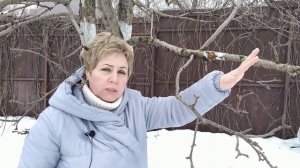 СЕЗОН 2020: ОБРЕЗКА ЯБЛОНИ - КАК ЭТО ДЕЛАЮТ ПРОФЕССИОНАЛЫ! Теперь все понятно!!! / Садовый гид