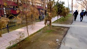 Ташкент Ц-2, Дархан, Алайский рынок (прогулка) | Tashkent C-2, Darkhan, Alay bazaar (walking)