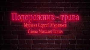 Подорожник - трава
