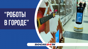 "Роботы в городе": в Сочи набирают популярность роботы-помощники