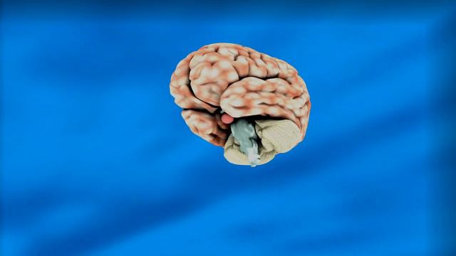 Время может быть разным смотреть онлайн