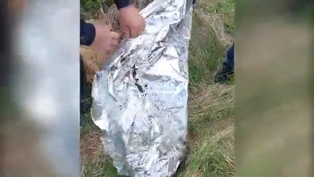 Еще одного члена так называемой теробороны раскрыли в Херсонской области.