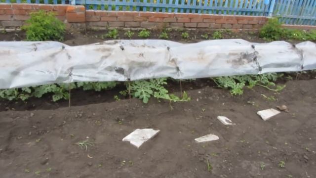 #Обзор #дачи на 20 июня смотреть онлайн