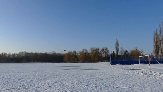 Обзор селфи-дрона Selfie FPV Quadcopter
