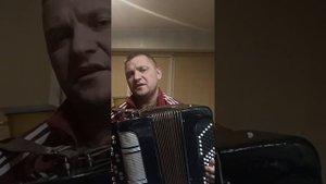 Московский заказной цельнопланочный баян)