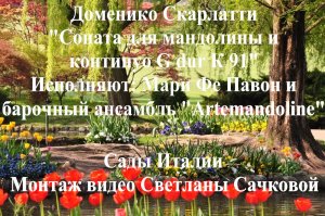 Доменико Скарлатти "Соната для мандолины и континуо G dur К 91"
