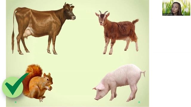 Четвертий зайвий (зображення) 2 частина. смотреть онлайн