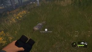 theHunter Call of the Wild ✅ DLC / ТОП 3 ДЛС / ЗАКАЗНИКИ?️